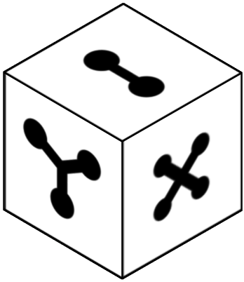 20option6