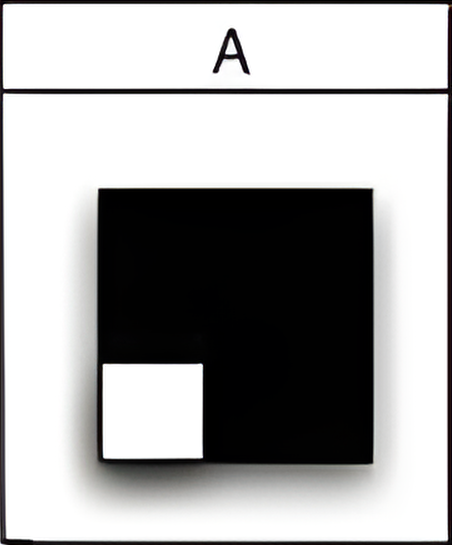 abstract 5a