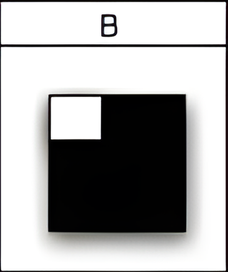 abstract 5b