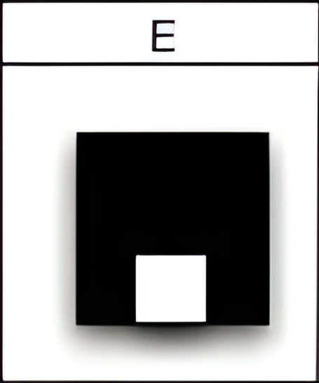 abstract 5e
