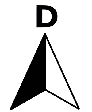 mens 10d