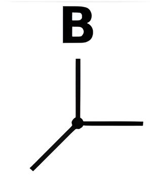 mens 24b