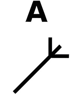 mens 5a
