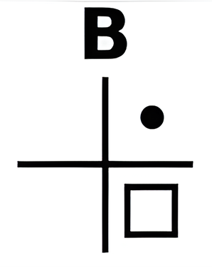 mens 9b